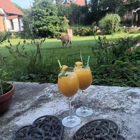 Gospodarstwo wiejskie 10