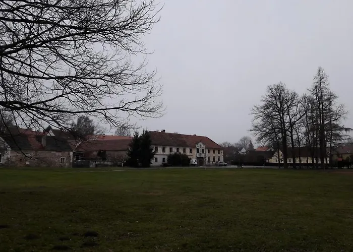 10 Zabori
